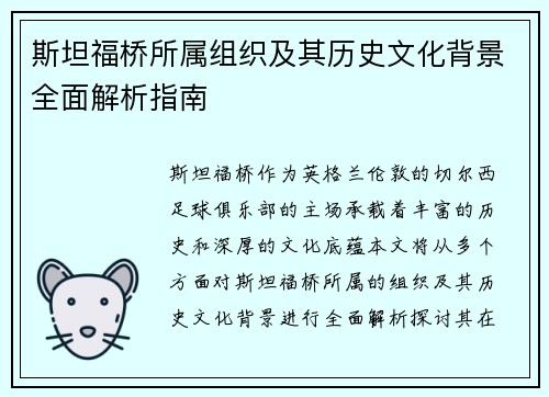 斯坦福桥所属组织及其历史文化背景全面解析指南