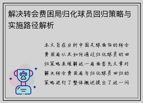 解决转会费困局归化球员回归策略与实施路径解析